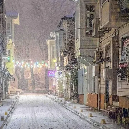 Apartment Garden In Sultanahmet Istanbul
