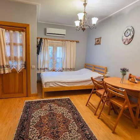 Apartment Garden In Sultanahmet Istanbul